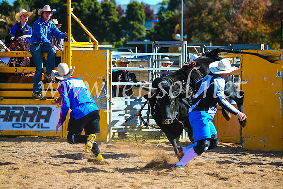 BathurstShow2017Sun_3830