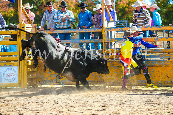 BathurstShow2017Sun_3851
