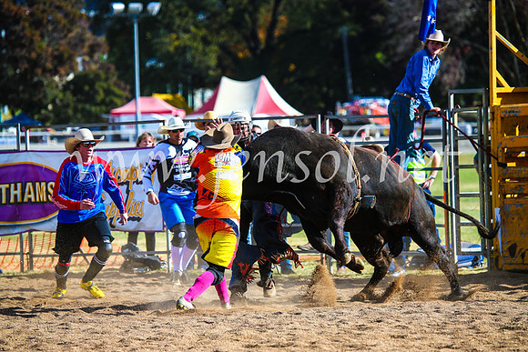 BathurstShow2017Sun_4389
