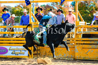 BathurstShow2017Sun_3814