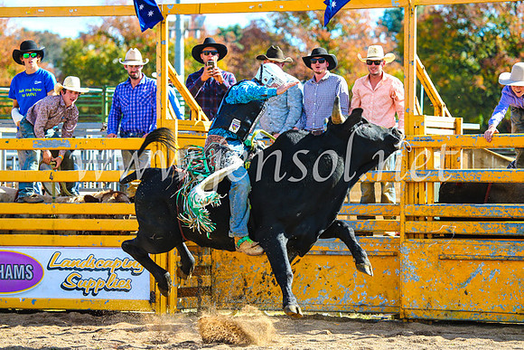 BathurstShow2017Sun_3814