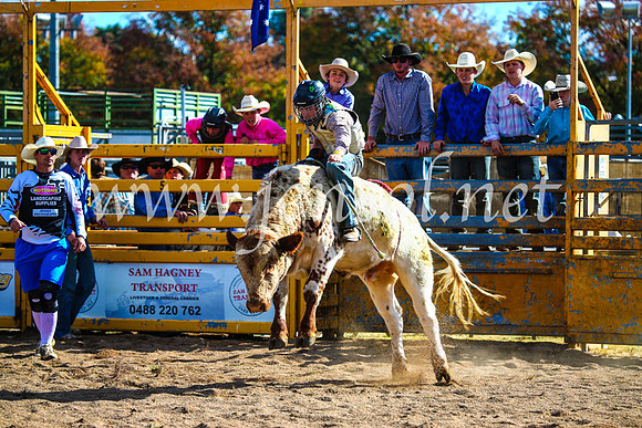 BathurstShow2017Sun_4009