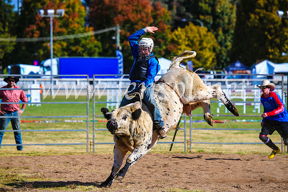 BathurstShow2017Sun_3923
