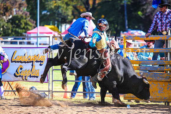 BathurstShow2017Sun_4301