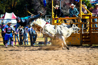 BathurstShow2017Sun_3761