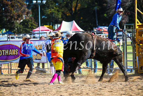 BathurstShow2017Sun_4391