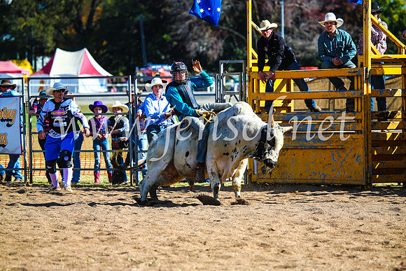 BathurstShow2017Sun_3758