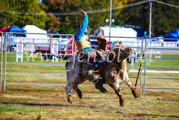 BathurstShow2017Sun_4482