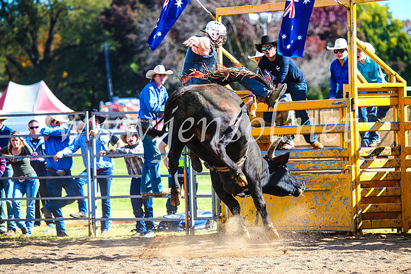 BathurstShow2017Sun_4364