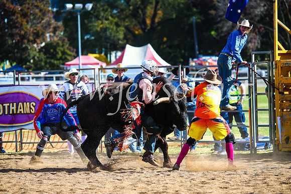 BathurstShow2017Sun_4381
