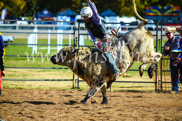 BathurstShow2017Sun_4528