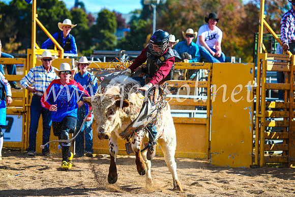 BathurstShow2017Sun_3949