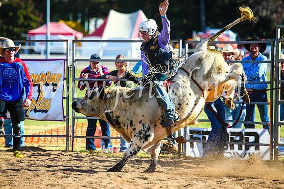 BathurstShow2017Sun_4515