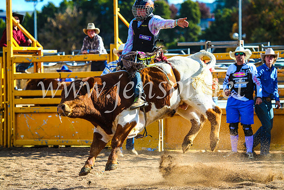 BathurstShow2017Sun_4583