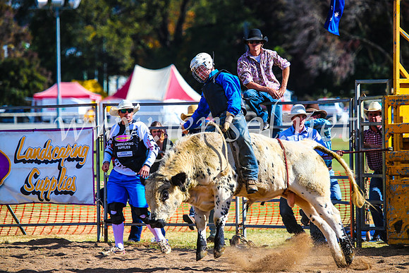 BathurstShow2017Sun_3902