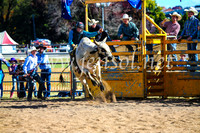 BathurstShow2017Sun_3746