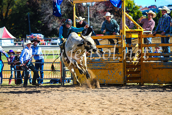 BathurstShow2017Sun_3746