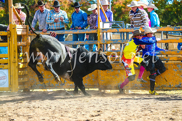 BathurstShow2017Sun_3852