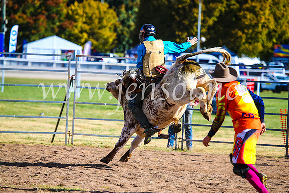 BathurstShow2017Sun_4478