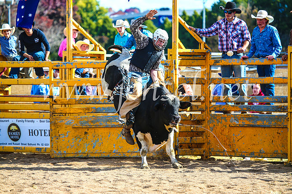 BathurstShow2017Sun_4410