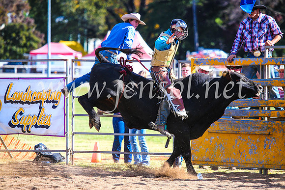 BathurstShow2017Sun_4317