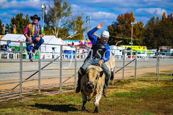 BathurstShow2017Sun_3925