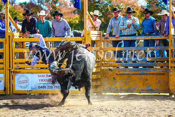 BathurstShow2017Sun_3838