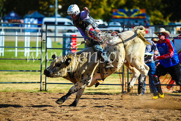 BathurstShow2017Sun_4525