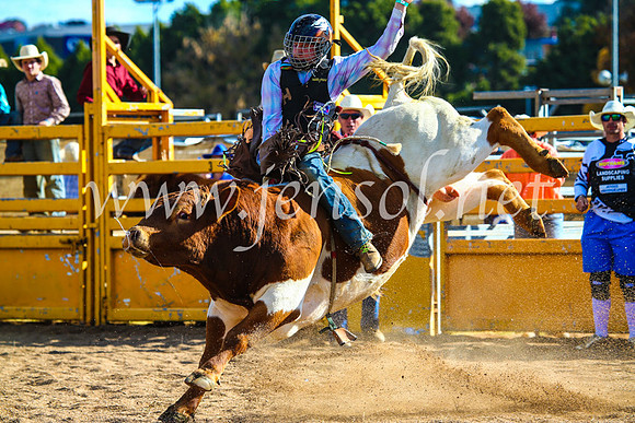 BathurstShow2017Sun_4578