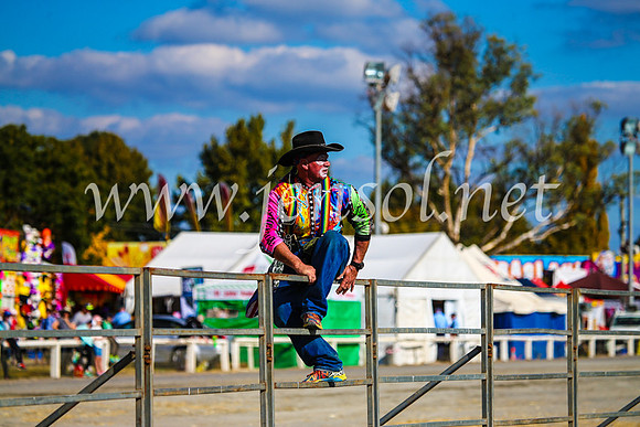 BathurstShow2017Sun_4454