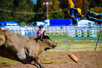 BathurstShow2017Sun_3796