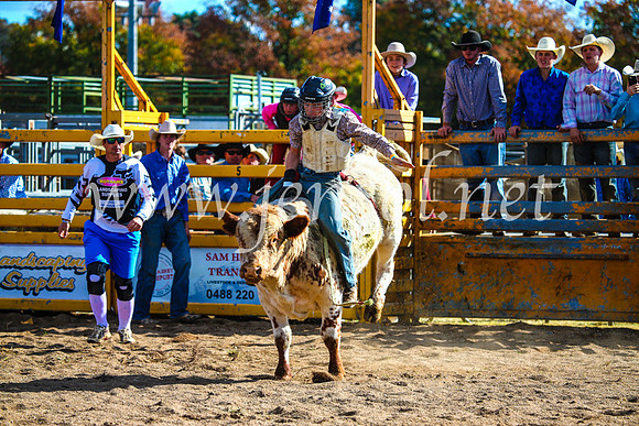BathurstShow2017Sun_4028
