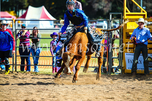 BathurstShow2017Sun_3885