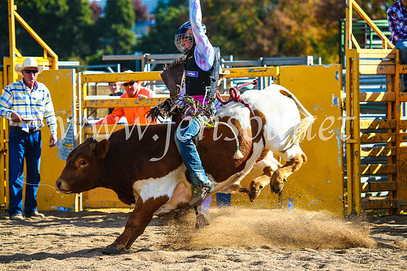 BathurstShow2017Sun_4570