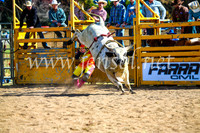 BathurstShow2017Sun_3755