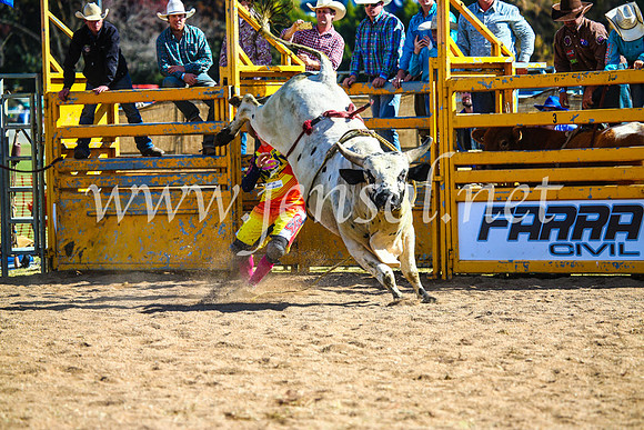 BathurstShow2017Sun_3755