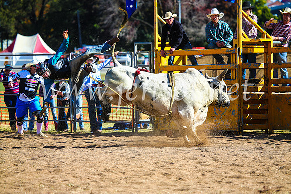 BathurstShow2017Sun_3759