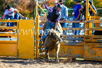 BathurstShow2017Sun_3774