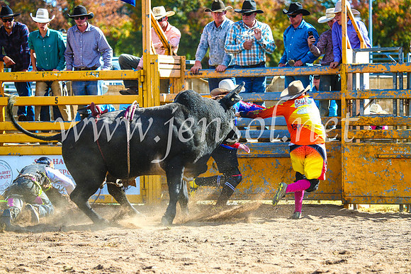 BathurstShow2017Sun_3859