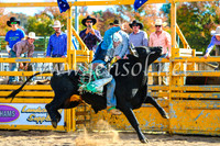 BathurstShow2017Sun_3812