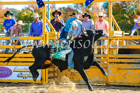 BathurstShow2017Sun_3812