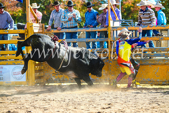 BathurstShow2017Sun_3850