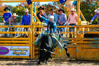 BathurstShow2017Sun_3809