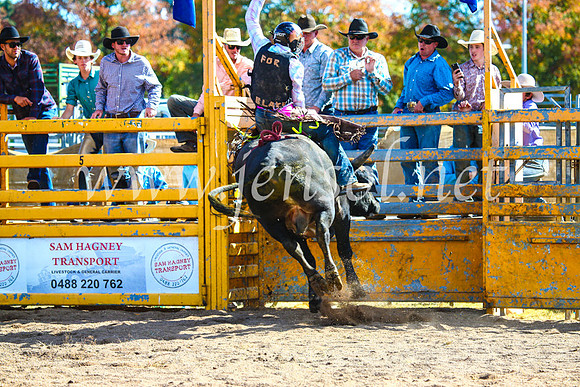 BathurstShow2017Sun_3837