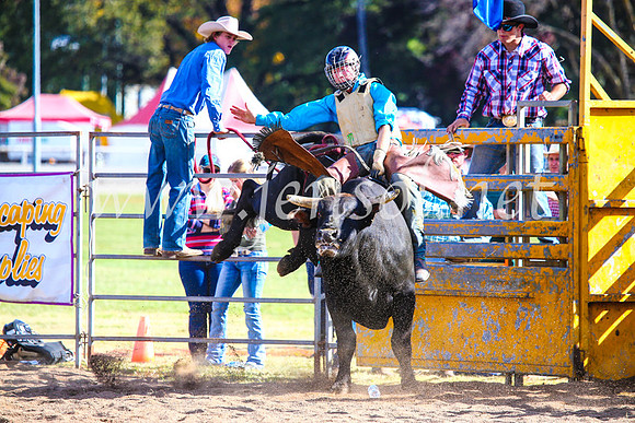 BathurstShow2017Sun_4320