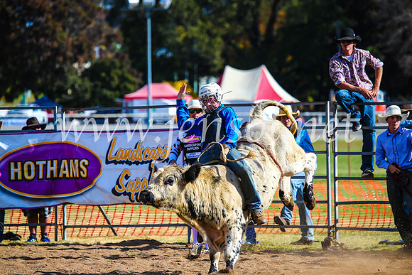 BathurstShow2017Sun_3905