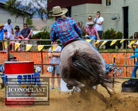 JindabyneRodeo2019_0552
