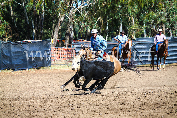 GundagaiCampdraft2017_0756