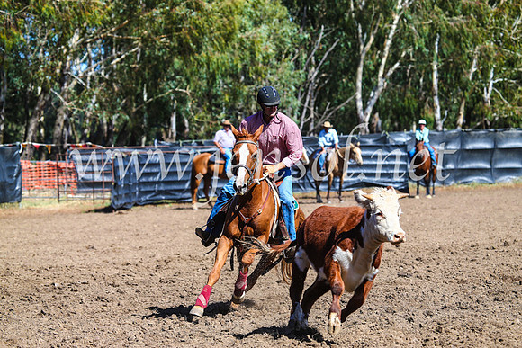 GundagaiCampdraft2017_0827