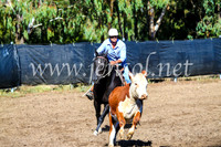 GundagaiCampdraft2017_0623